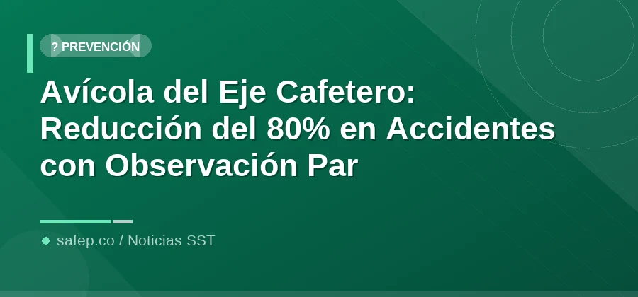 Avícola del Eje Cafetero: Reducción del 80% en Accidentes con Observación Par